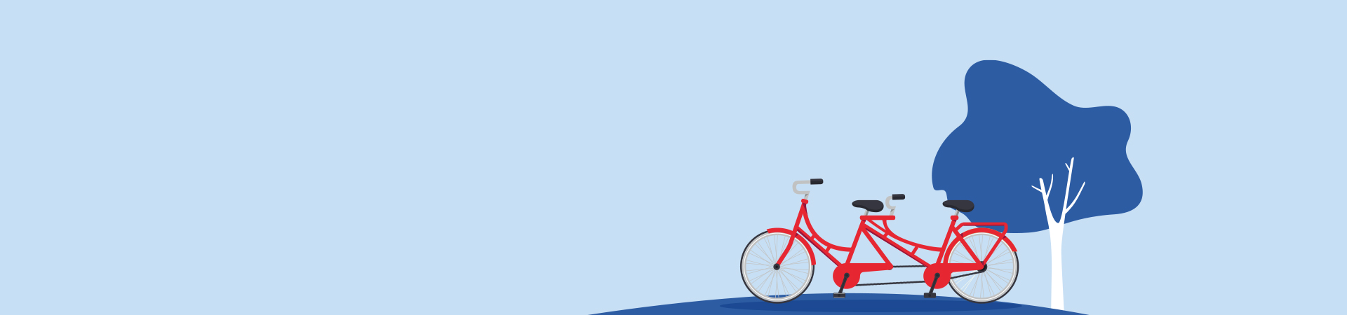 Rappresentazione grafica bicicletta